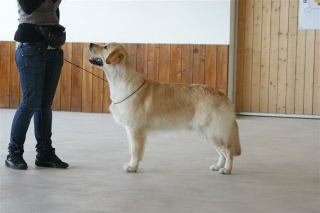 Melange 0540015.jpg